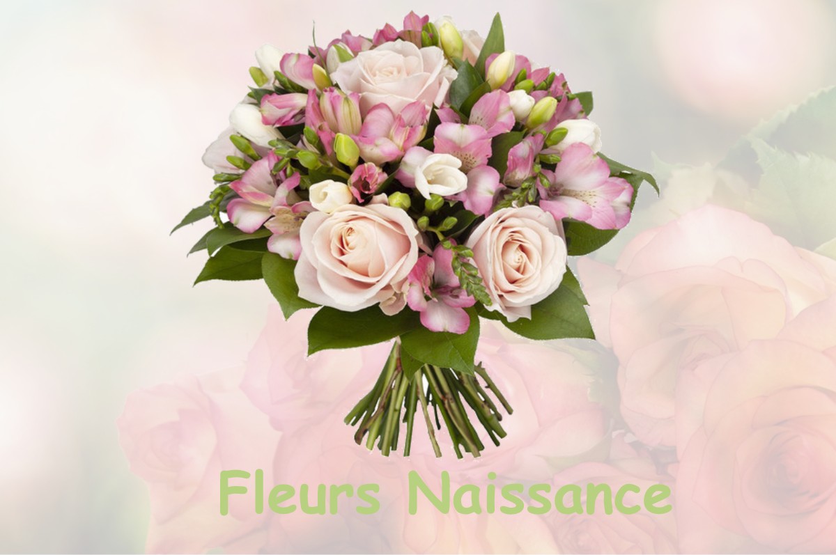 fleurs naissance VACQUIERS