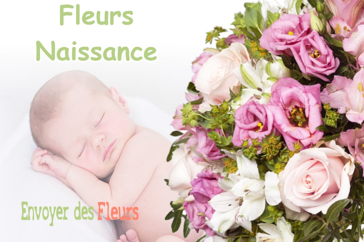 lIVRAISON FLEURS NAISSANCE à VACQUIERS